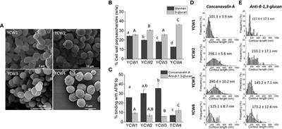 Yeast cell wall extracts from Saccharomyces cerevisiae varying in structure and composition differentially shape the innate immunity and mucosal tissue responses of the intestine of zebrafish (Danio rerio)